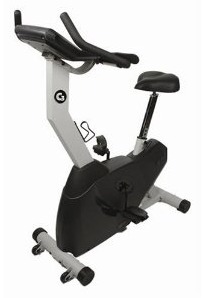 lifespan upright bike