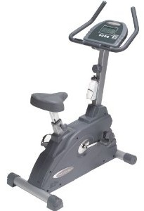 Endurance B2U Upright Exercise Bike 