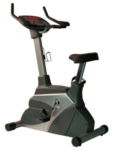 Fitnex B50 Upright Exercise Bike