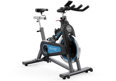 Horizon Elite IC7 Indoor Cycle