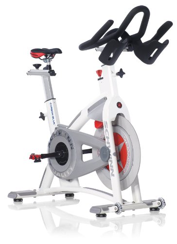 Schwinn Exercise Bikes 202 - Schwinn 100025 202 Recumbent Exercise